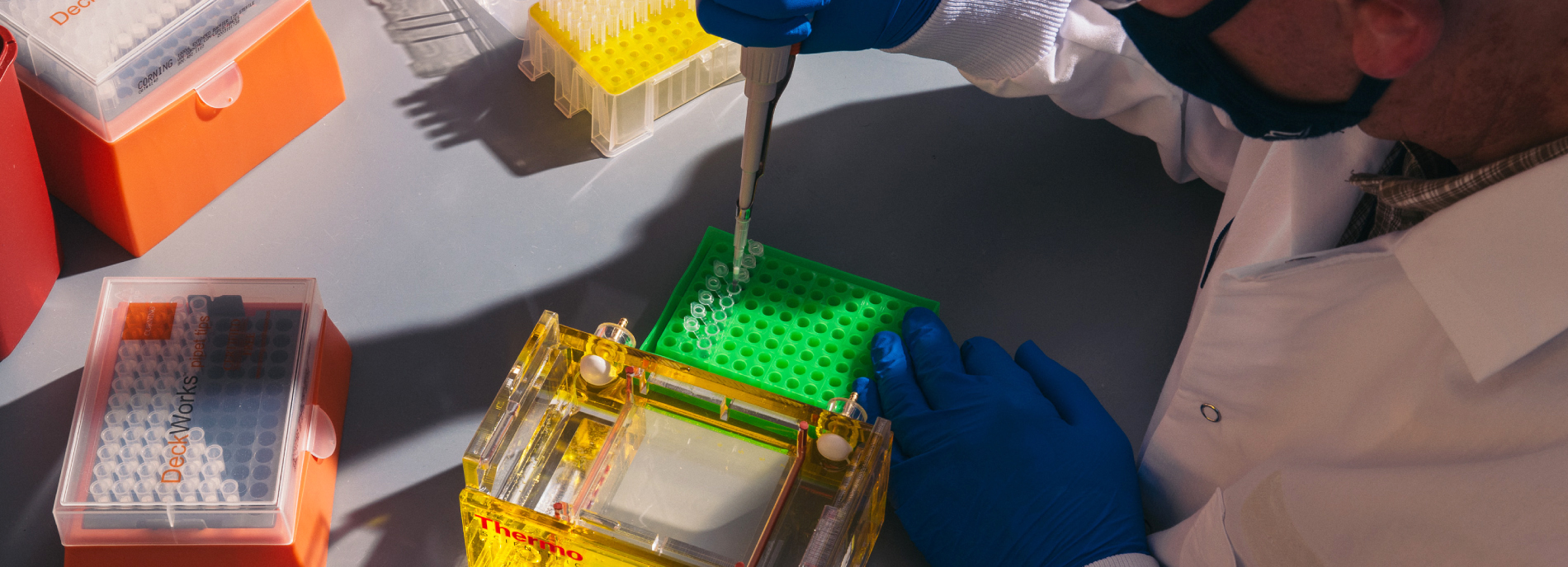 Pipetting at the Translational Research Labs at University of Pennsylvania