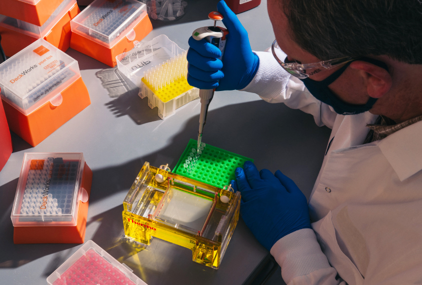 Ralf Schmid, the research director in Neurodevelopmental diseases at the Gene Therapy Program Orphan Disease Center, loads replicated mouse dna into wells in the gel before applying electric current to test the viability of the dna.