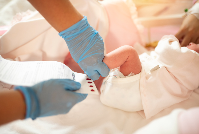 Collecting blood sample from bottom of newborn's foot for blood test.