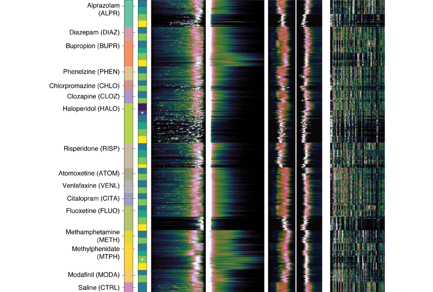 Sixteen different drugs commonly prescribed to people with autism created unique behavioral signatures in mice.