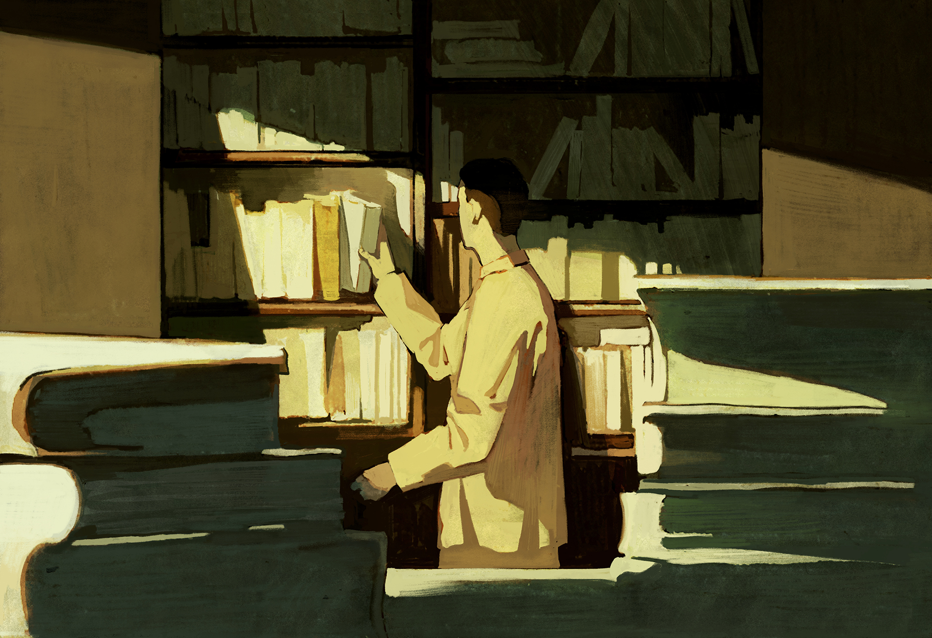 In this illustration, a man is shelving books in a peaceful library, standing in sunlight.