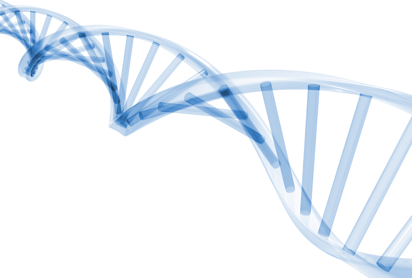 Stylized DNA molecule