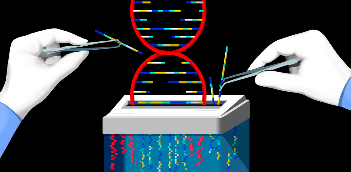 Illustration shows the hands of researchers selecting parts of a DNA helix for secure shredding.