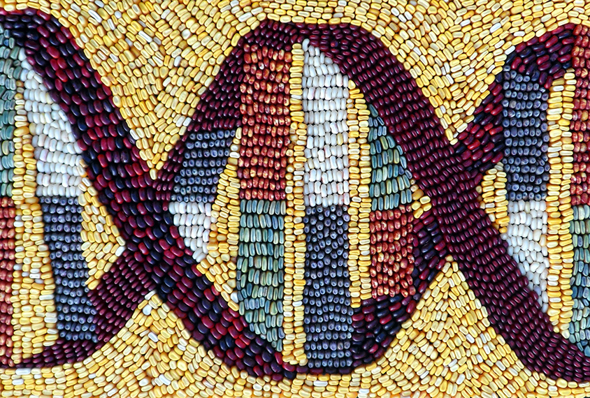 A mosaic made of different colors of maize (corn) kernels depicting DNA.