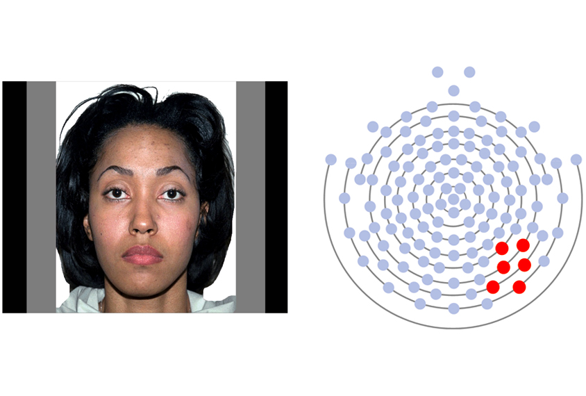 Face stimuli displaying neutral emotions and EEG electrode recording sites.