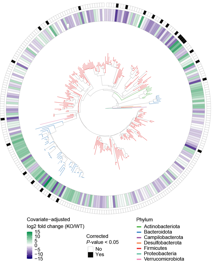 Microbiome profile