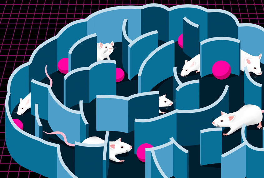 Illustration of transporter mice in brain maze