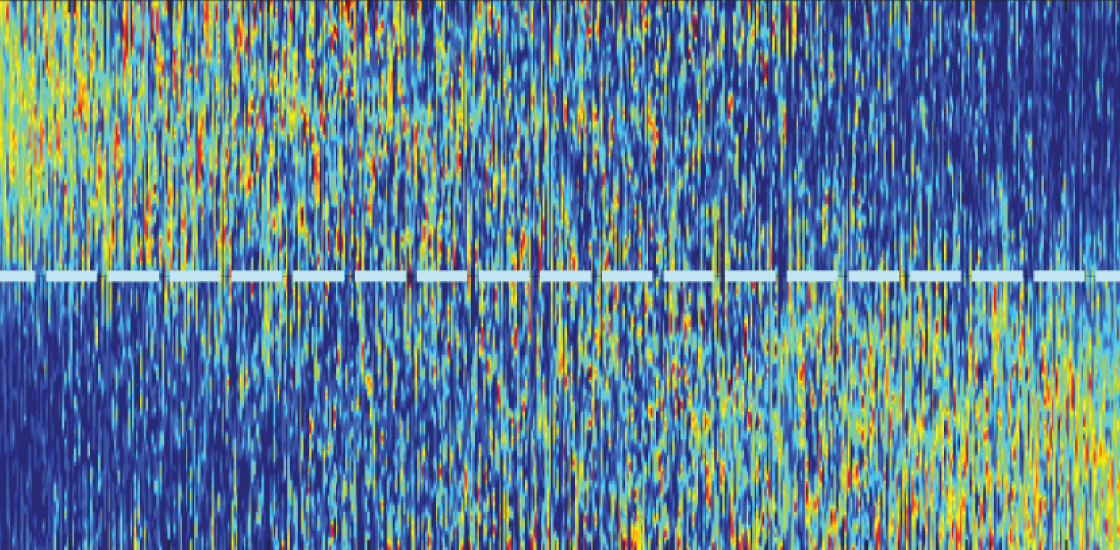 Mouse neuron recordings showing different levels of activity before and after an encounter with an unfamiliar mouse.