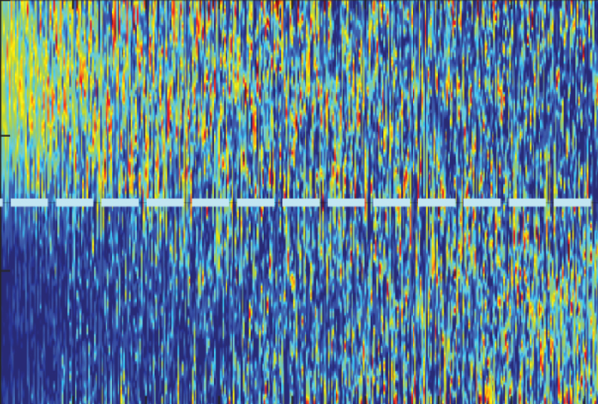 Mouse neuron recordings showing different levels of activity before and after an encounter with an unfamiliar mouse.