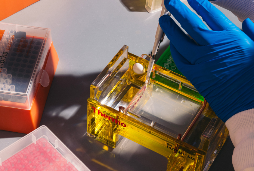 Lab technician close up of hands and equipment.