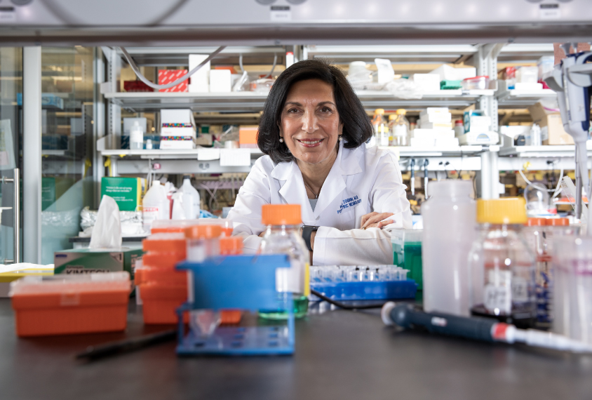 Dr. Huda Zoghbi in her lab.