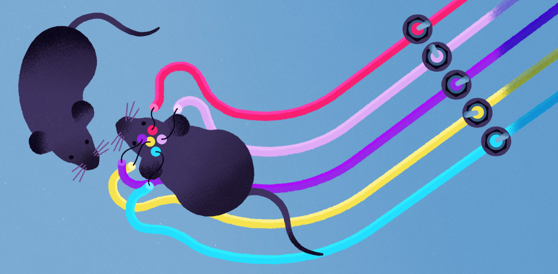 Illustration shows mouse with colorful wires attached, interacting with another mouse.