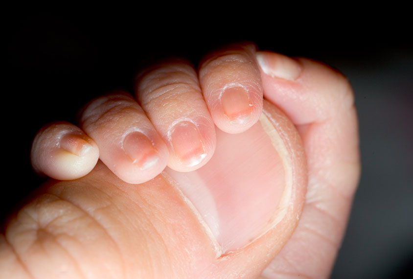 Closeup of tiny newborn hand gripping tip of adult thumb.