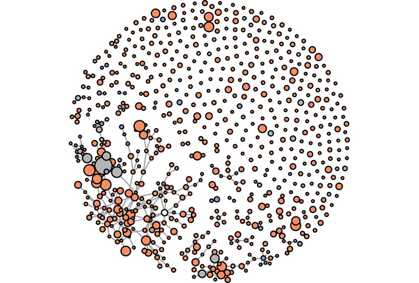 Markov cluster showing protein interactions in mice.