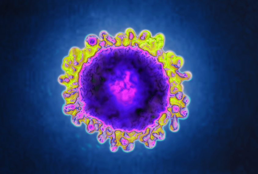Coloured transmission electron micrograph (TEM) of a SARS-CoV-2 coronavirus particle in pink and purple on deep blue background..