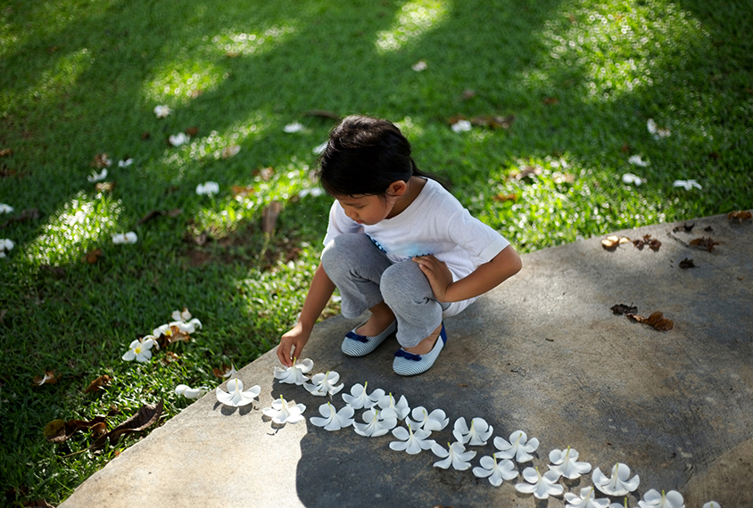 Child makes a row of flowers on the ground.