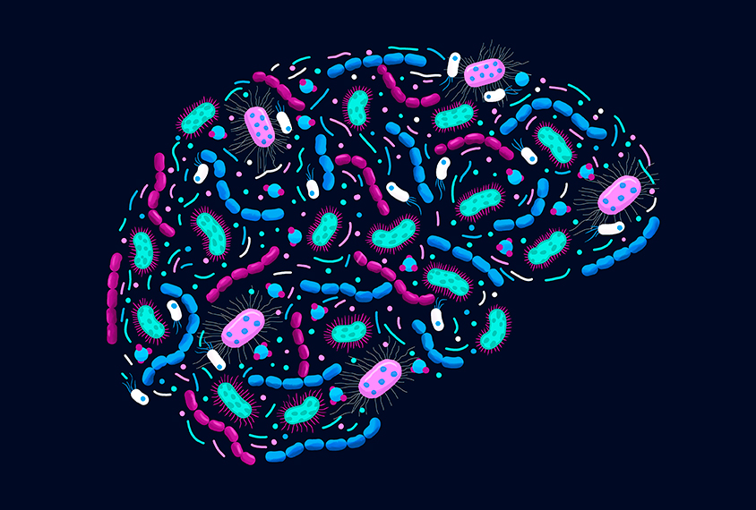 Illustration: microbes clumped together forming the shape of a brain. The microbes are pink, blue, aqua, and red. Set against a dark blue background.