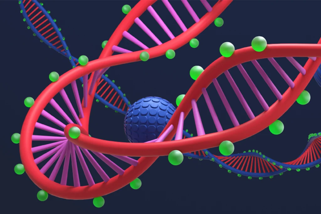 Illustration of DNA helix highlighting the methylation process.