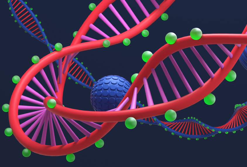 Illustration of DNA helix highlighting the methylation process.