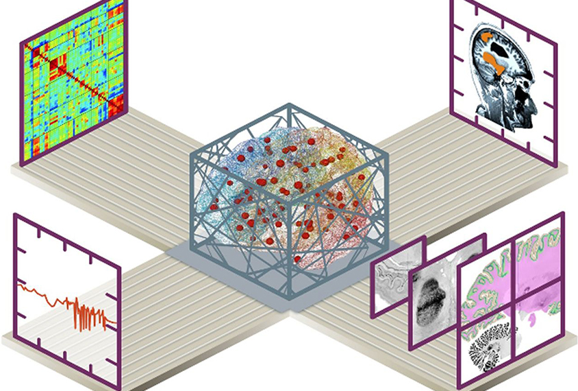 Conceptual illustration showing various types of scientific data merging to form a model of the human brain.