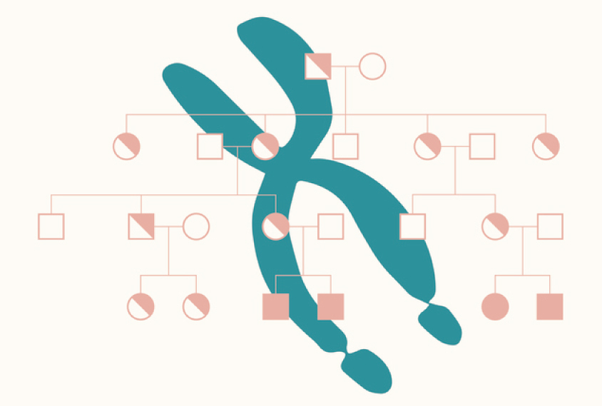 Book cover conceptual illustration of chromosome superimposed with genetic tree.