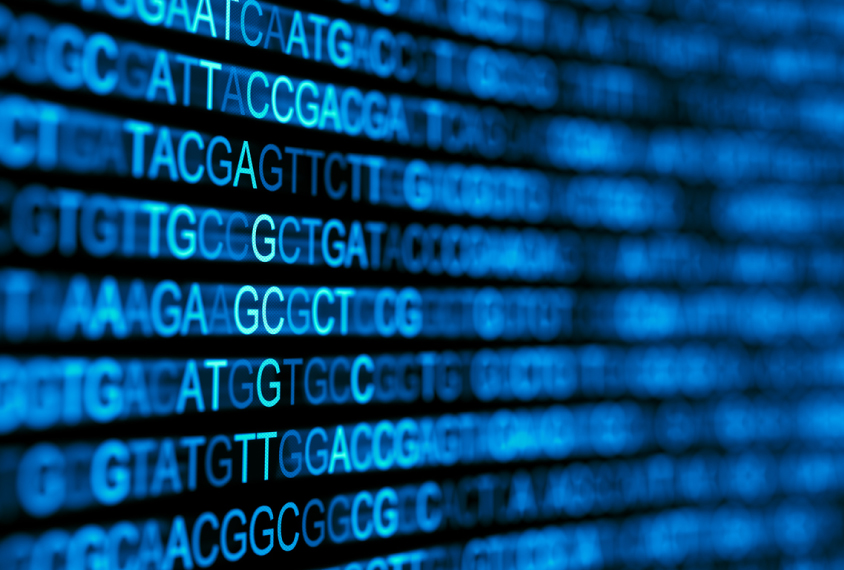 A screen displays nucleic acid sequences in blue letters.