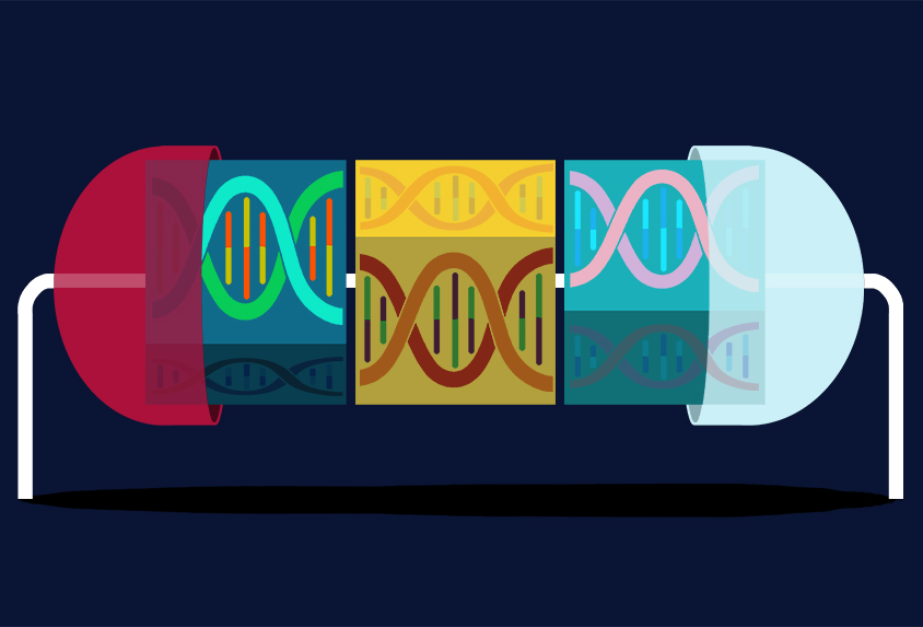 pill shape showing DNA that can be matched up.