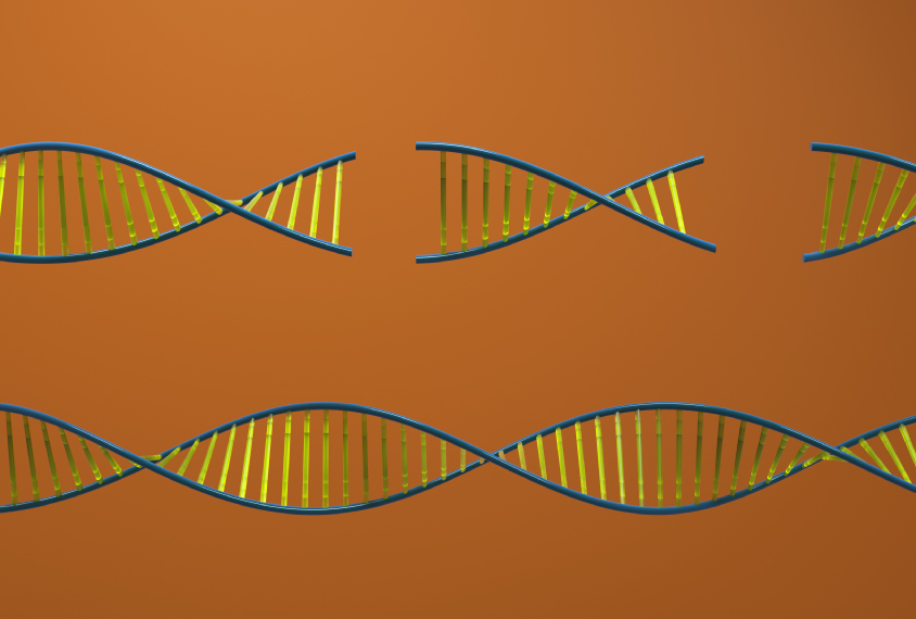 Concept illustration of DNA deletion: 2 DNA strands extend horizontally across a burnt orange background. The bottom is intact, while there are gaps in the top strand.