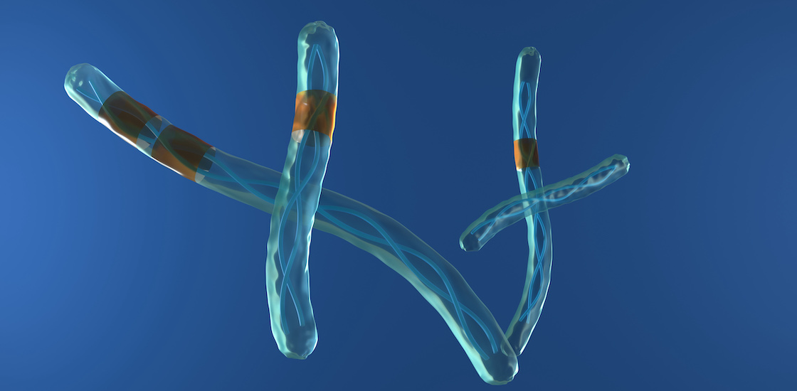 Illustration of two chromosomes with copy number variants.