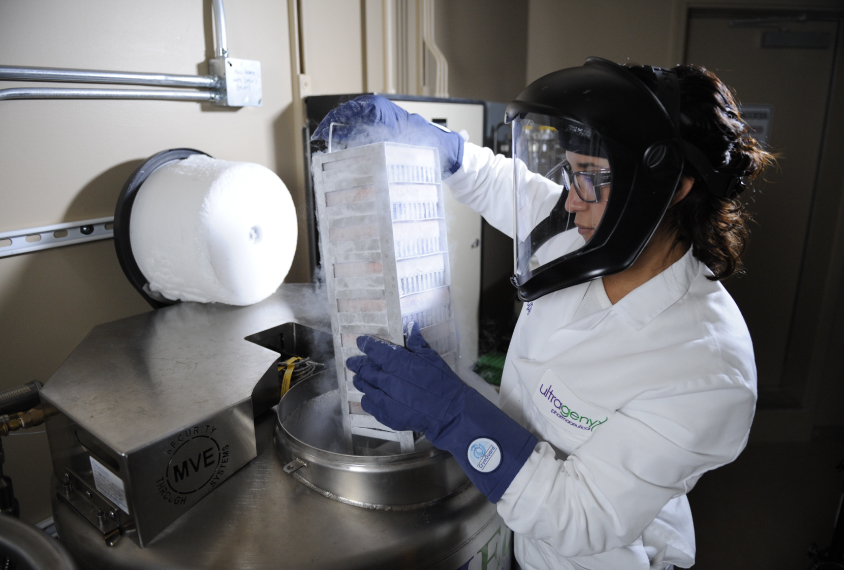 An Ultragenyx employee removes materials from a lab freezer.