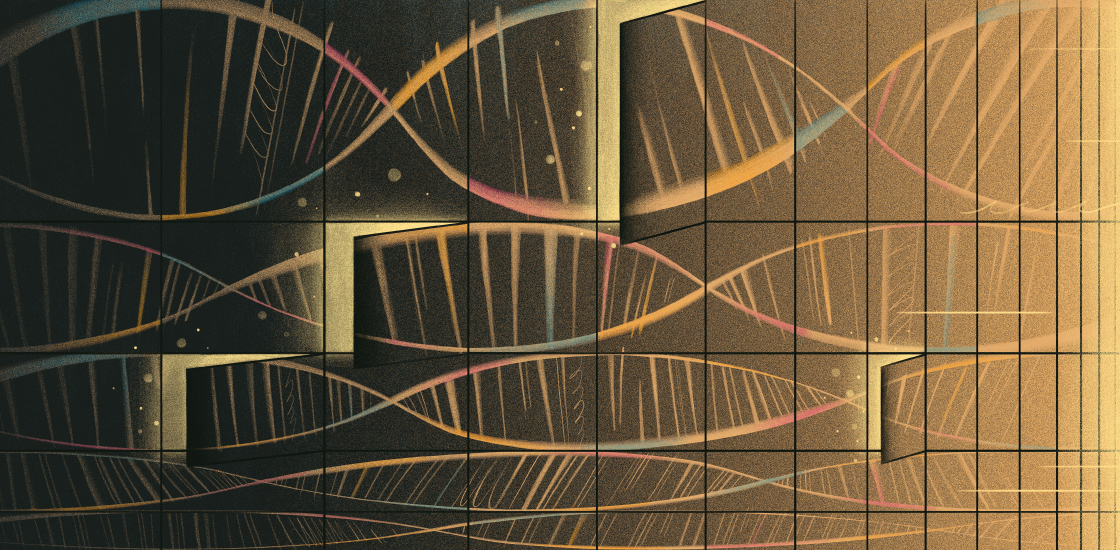 Several strands of DNA with different openings at different points to show different functions for the same gene at different points in time