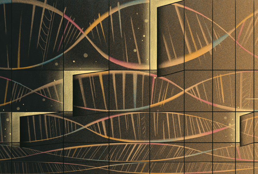 Several strands of DNA with different openings at different points to show different functions for the same gene at different points in time