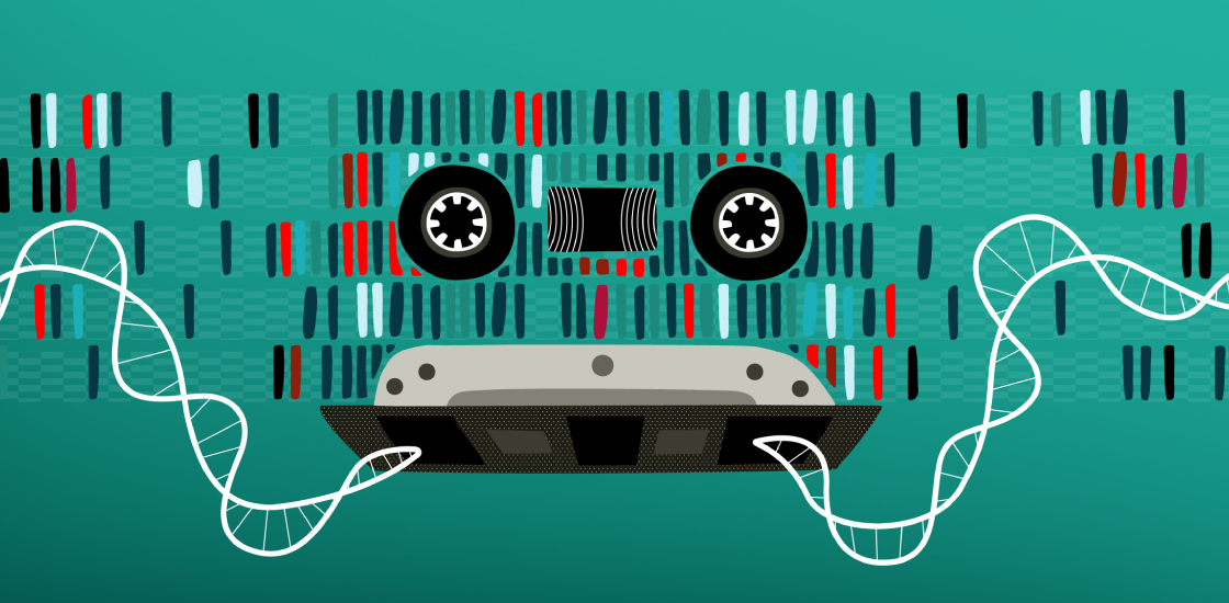 Illustration of a cassette tape with the tape replaced by a DNA double helix