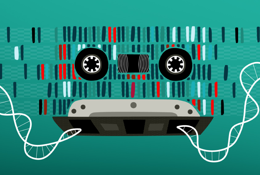Illustration of a cassette tape with the tape replaced by a DNA double helix