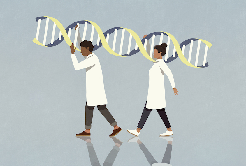 An illustration of two scientists carrying a larger-than-life DNA strand on their shoulders.