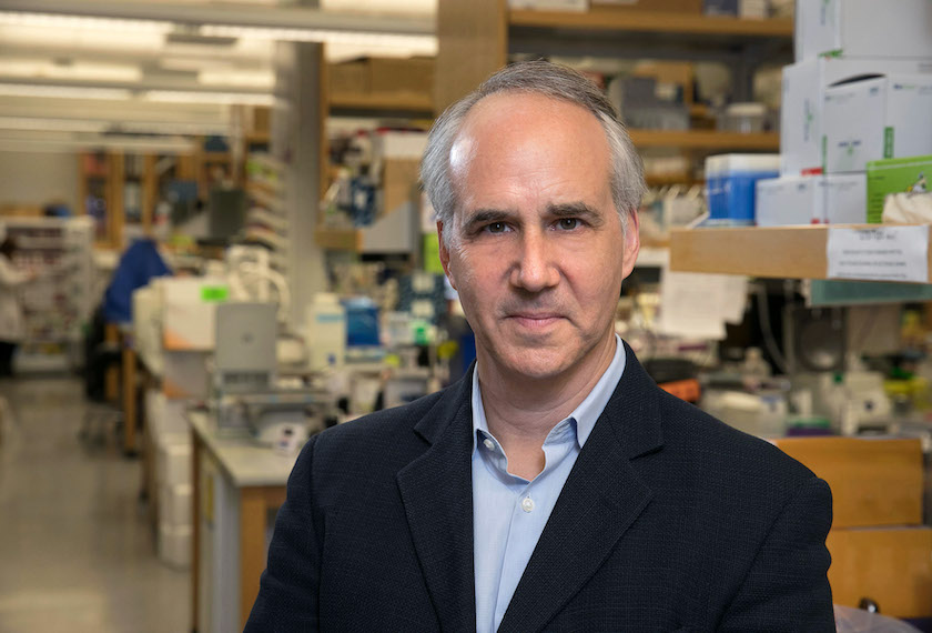 David Geschwind stands in his lab.