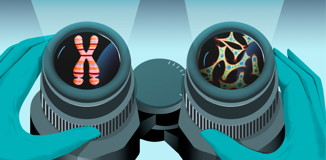 Illustration of a binocular microscope with an X Chromosome in one eyepiece and cancer cells in the other.