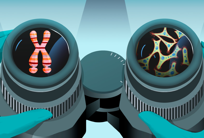 Illustration of a binocular microscope with an X Chromosome in one eyepiece and cancer cells in the other.