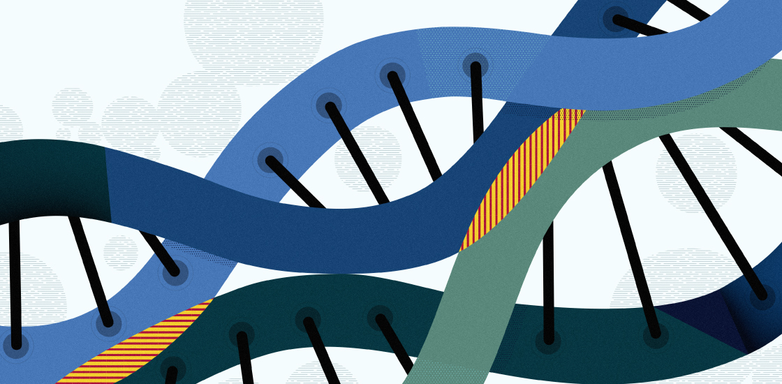 Conceptual illustration of two DNA helixes with several overlapping portions showing common and differing genes.