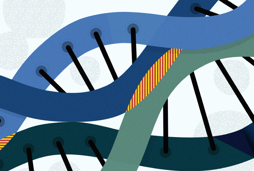 Conceptual illustration of two DNA helixes with several overlapping portions showing common and differing genes.