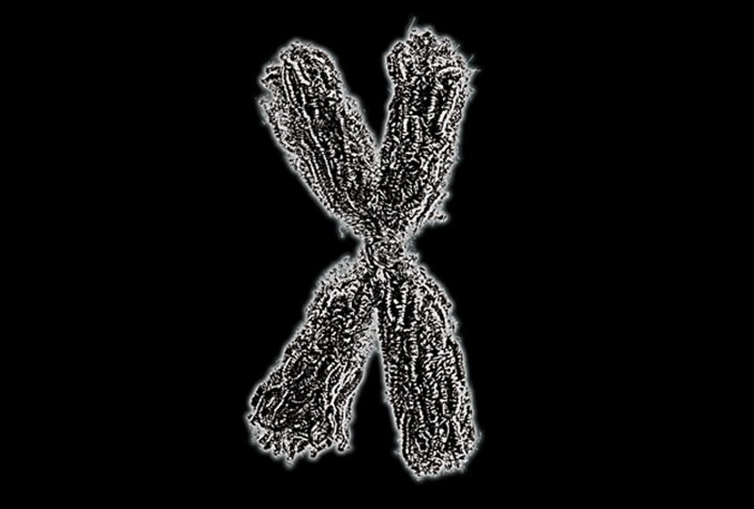 Illustration of an X chromosome against a black background.