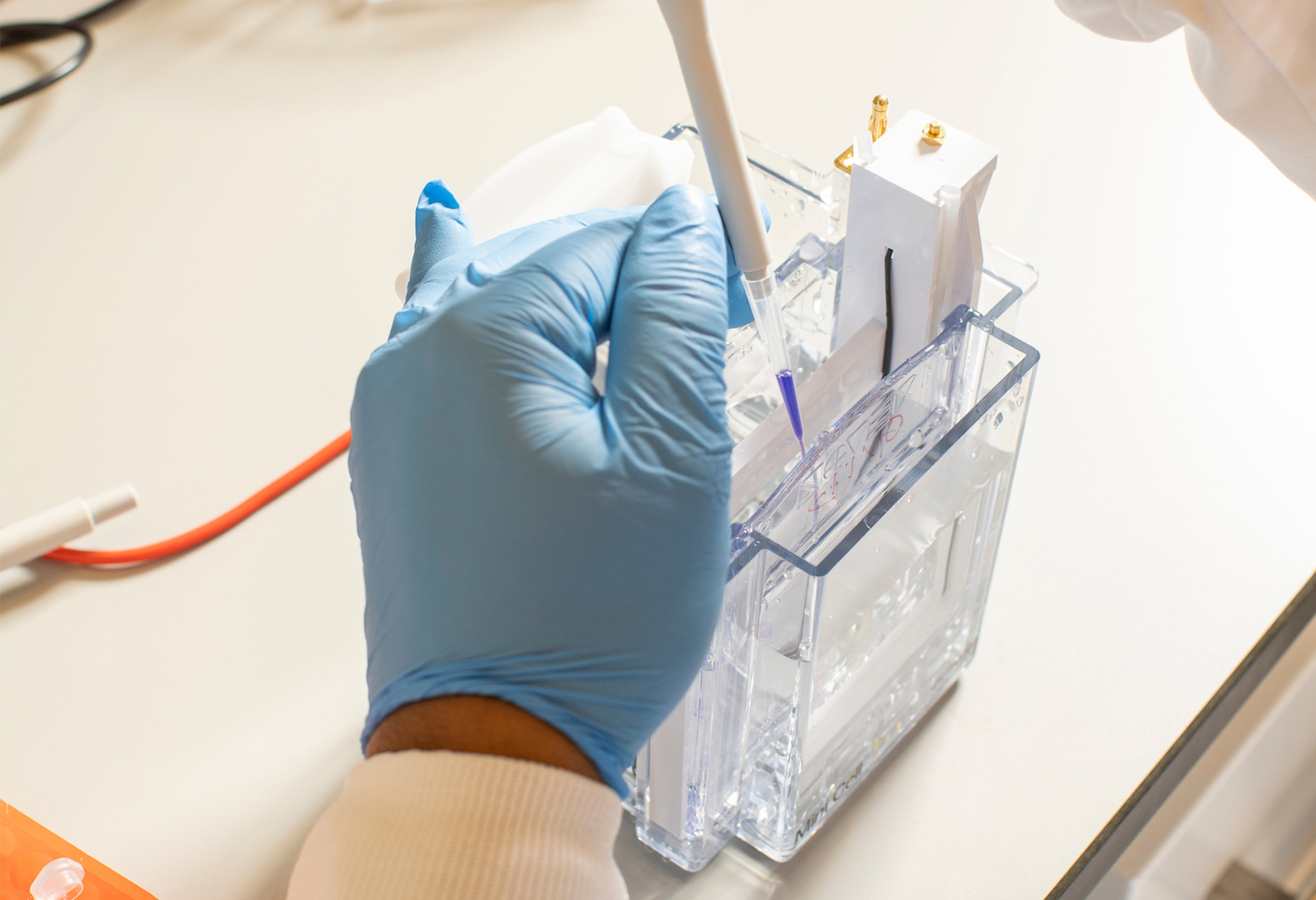 An Ovid Therapeutics researcher works at a lab bench.