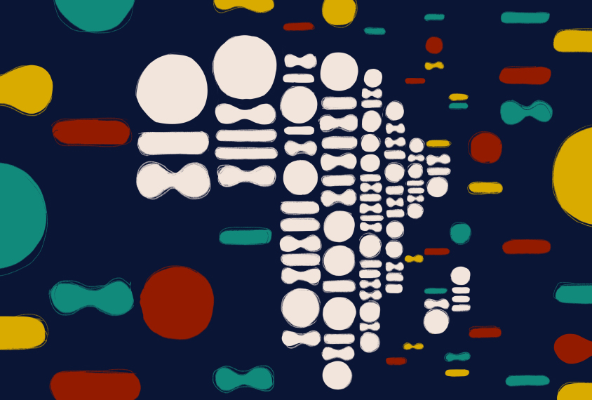 A pattern in the style of genetic sequencing forms into the shape of the African continent.