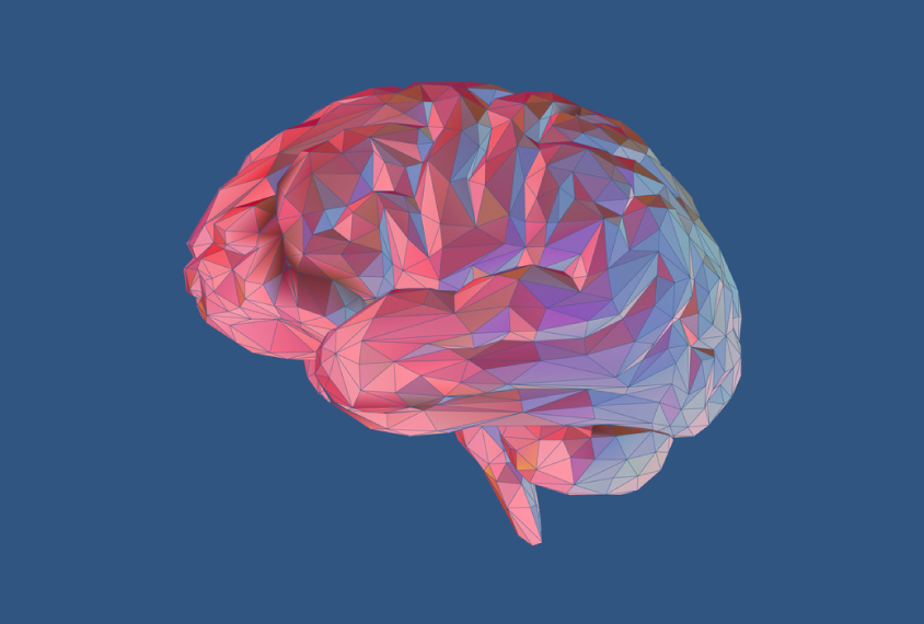 Pink geometric brain against a blue background.