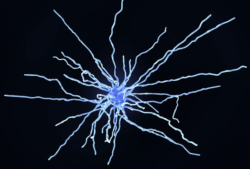Single astrocyte on black background.