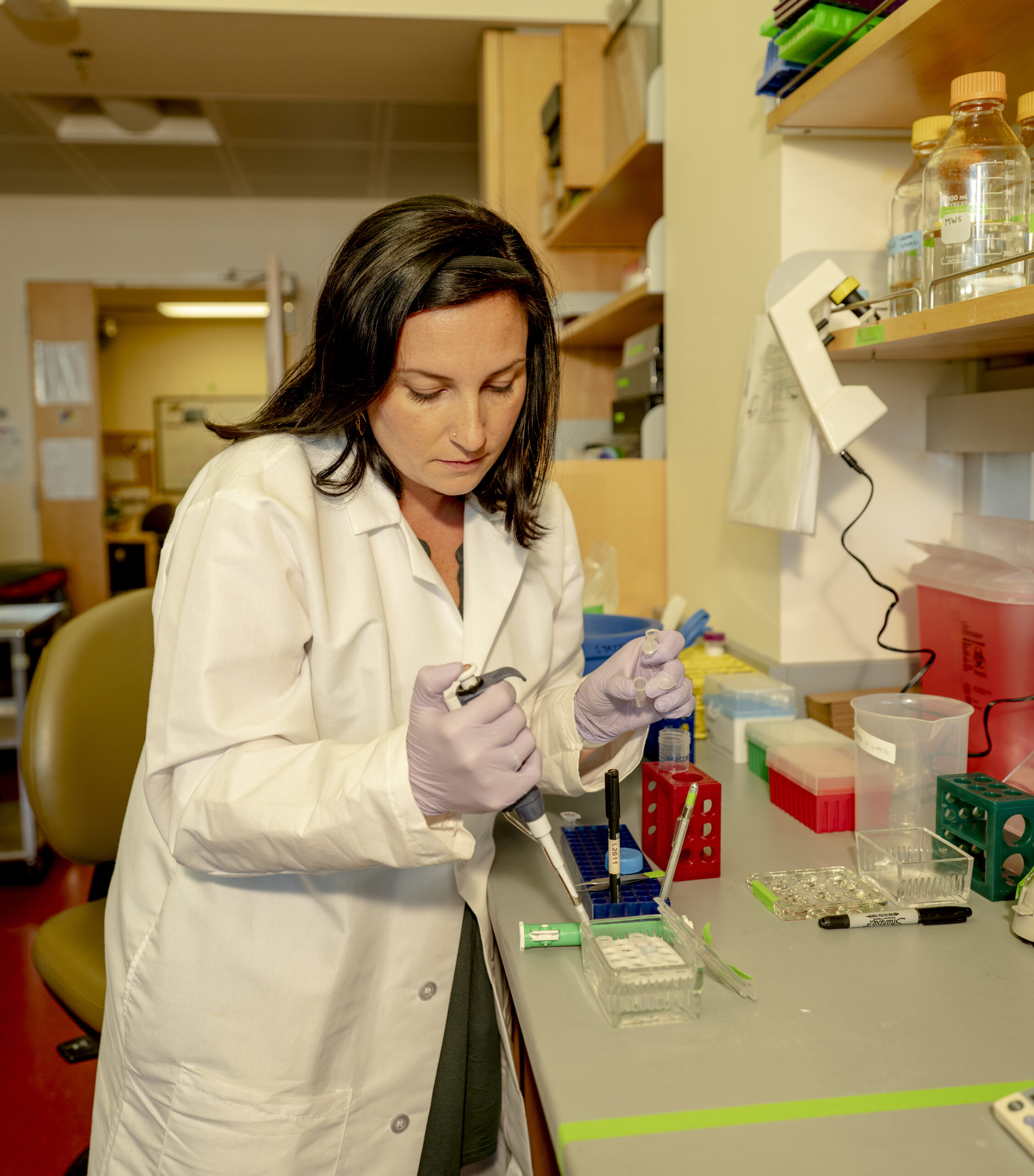 Helen Willsey works in her lab.