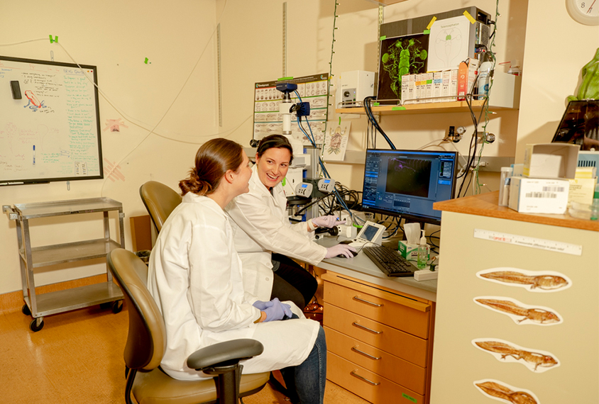 Helen Willsey works with another staff member in her lab.