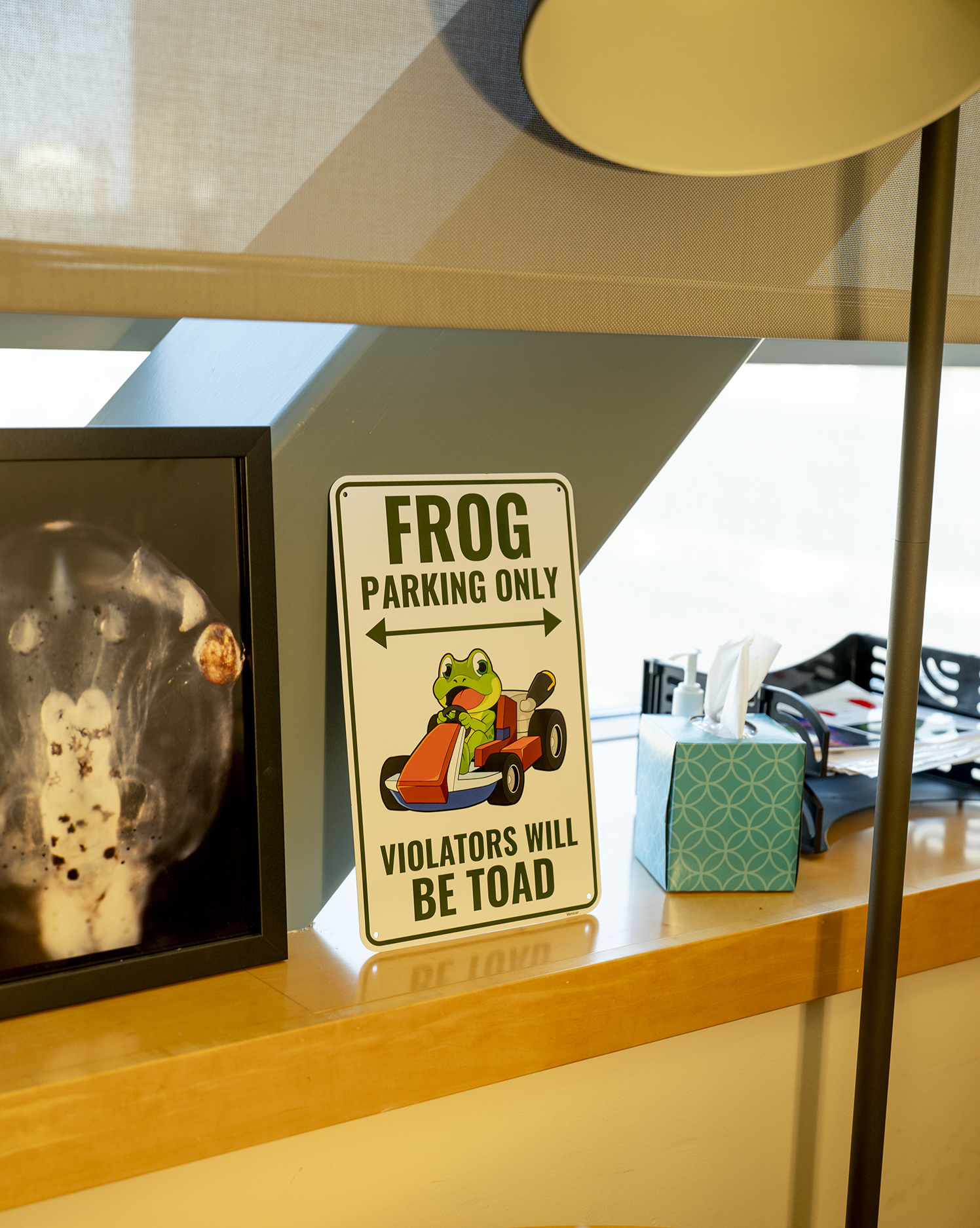 A gag road sign reads Frog parking only; Violators will be toad, spelled t-o-a-d.