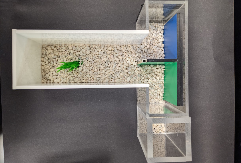 Image of the tank used to test zebrafish social behavior.