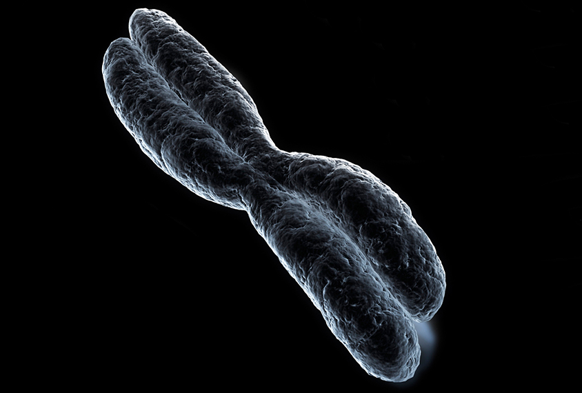 X chromosome against a dark background.